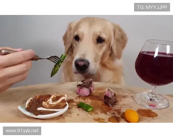 张琳芃家的狗都吃进口牛排？